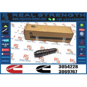 Fuel Injector 3054228