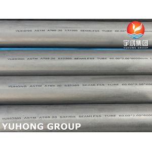 Good Hardness ASTM A789 S32205 Duplex 2205 1.4462 Seamless Tube