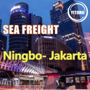 China NVOCC ISEA 9 Days Worldwide Sea Freight From China To Indonesia Jakarta on sale
