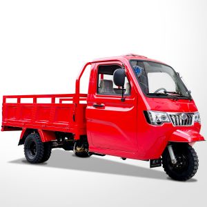 Sell 250cc High Power Handicap Closed Body Cargo Tricycle with 1000kg Loading