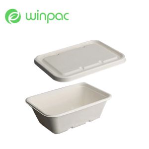 Disposable Compostable Sugarcane Bagasse Lid For 450 500 650 750 1000ml Box