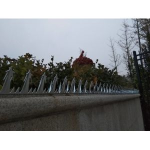 Steel Large Size Anti - Climb Wall Spikes Bird , Durable Metal Wall Spikes