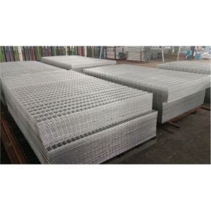 Quality 50x50mm aperture galvanized fence 4mm welded wire mesh panel wholesale