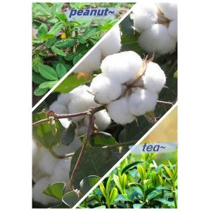 Spraying Microbial Inoculant Organic Fertilizer Bio Compost Trace Element