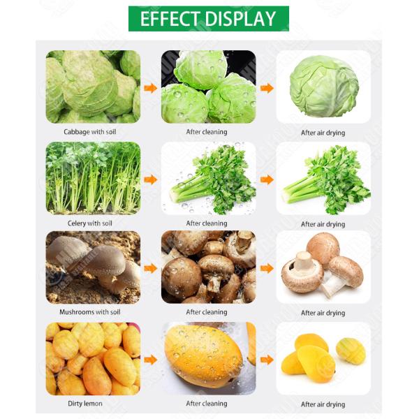 Vegetable Washing and Drying Machine Fresh Fruit Vegetable Processing Units Low Consumption High Efficiency Dried Products 5.1KW