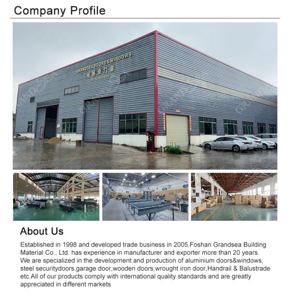 Modern Screen Custom Arches Top Exterior Front Double Entry Iron Glass Door Villa Front Entry Iron Pivot Door