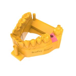 Pink Biomimetic Gum Resin For Orthodontic Aligner Models