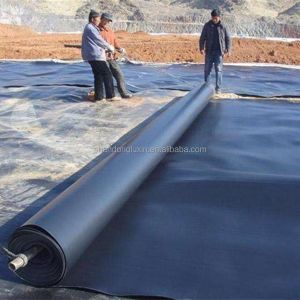 2mm PE Geomembrane Liner in Black or Customized Color for Project Solution