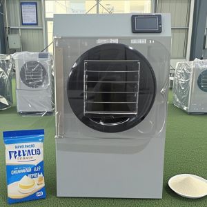 SUS304 Stainless Steel Shell Small Freeze Dryer for Fast and Precise Drying