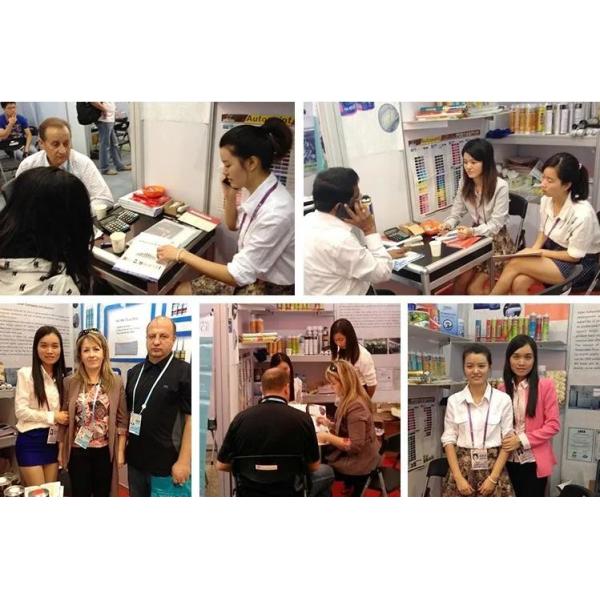 Fast Drying 2K Automotive Spray Paint Epoxy Paint For Vehicle