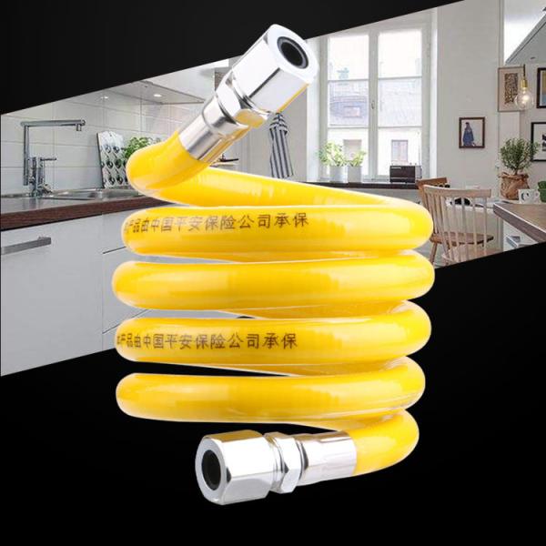 Quality SS304 SS316L Grill Natural Gas Hose , Gas Hose For Water Heater Flexible  DN20 wholesale
