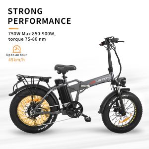Exercise Balance Electric Bike With Brushless Motor Professional