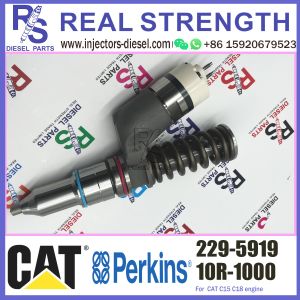 229-5919 Perkins Diesel Injector 10R-1000 For CAT Caterpillar Engine 3406E C15