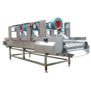 SS304 Food Processing Machinery , 500kg/h Air Dry Fruit Machine