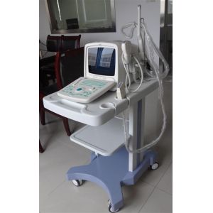 Ultrasound Imaging Machine Portable Ultrasound Scanner with 160G Capacity