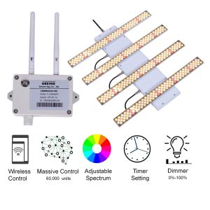 Indoor Adjustable Spectrum LED Grow Lights For Green Room Silent Fans No Noise