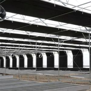 Agricultural Single-span Black Out Greenhouse Automated Light Dep Deprivation