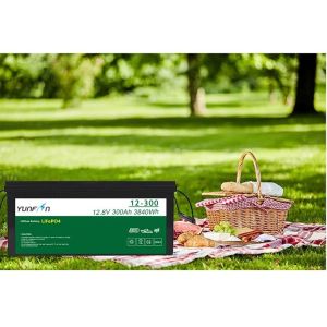 12V 80Ah Lithium Ion Golf Cart Battery Rechargeable Battery Pack