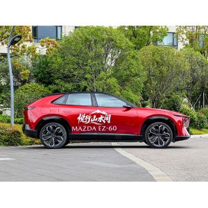 Popular Used Cars Basic Parameters 1.71L/100km Electric Energy Equivalent Fuel