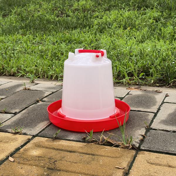 Constant Water Supply Poultry Chicken Drinker Standard Version Long Lasting Durability