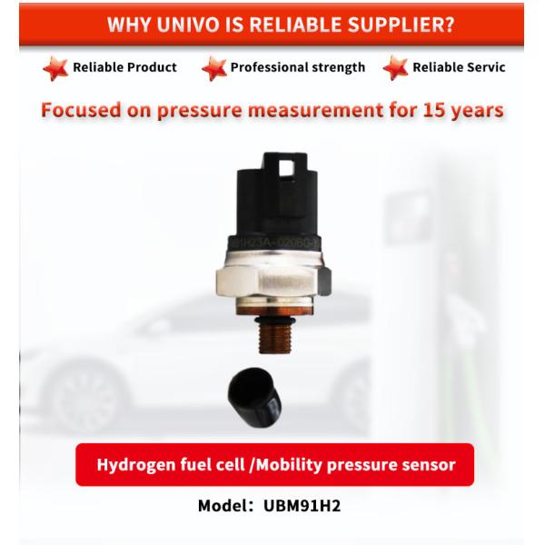 TE Hydrogen Storage and Motive Line Pressure Sensor for Fuel Cell Mobility EC-79 316L