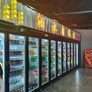 R22 Digital Controller Beverage Cooler And Chiller For Drinks Cold Storage