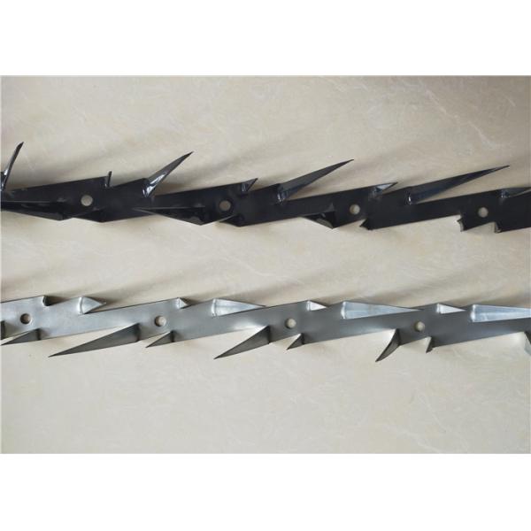 Quality Medium Size Steel Wall Spikes Hot Dipped Galvanized Or Black Powder Coated wholesale
