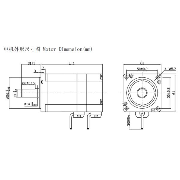 60mm Square BLDC motor