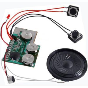Custom light sensor activation Recordable Sound Module passed CE certification