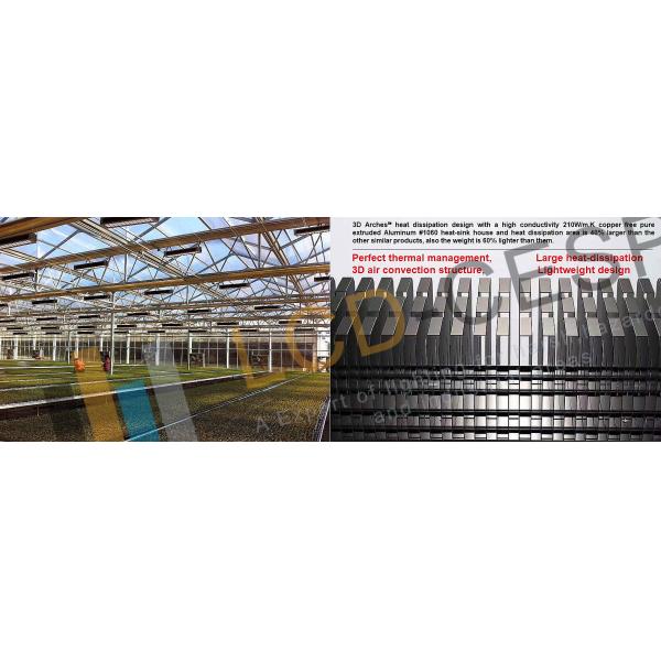 300W Commercial LED Flood Lights