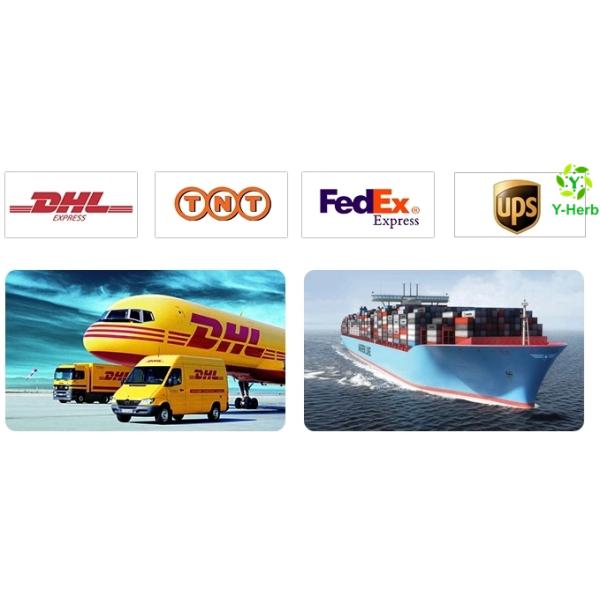 30% Polysaccharides Chantarelle Mushroom Extract Powder