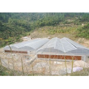China Commercial Vegetable Greenhouse Kits With Rain Gutter And Large Zinc Coating 275gsm on sale