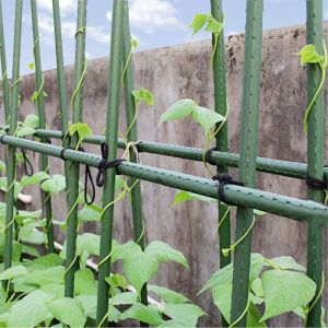 China Green Plastic Coated 60cm Metal Garden Stake For Plant Support on sale