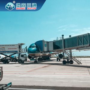 China Baosen Suntop International Shipping Freight Forwarder Clearance Warehousing Service on sale