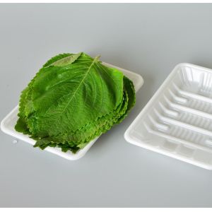 White PP 18*13*2.5cm Disposable Vegetable Trays