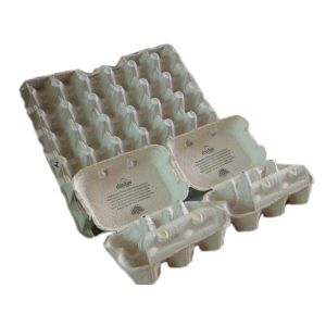 apple fruit tray processing machinery(FC-ZMW-2)