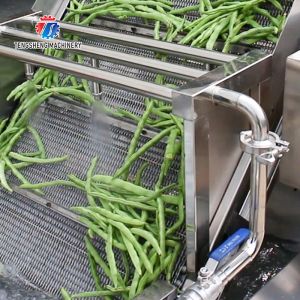 2.6KW Multi-functional fruit and vegetable bubble cleaning machine vegetable