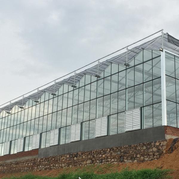 Quality Large Agricultural Glass Greenhouse with Advanced Hydroponics System and Glass Cover wholesale