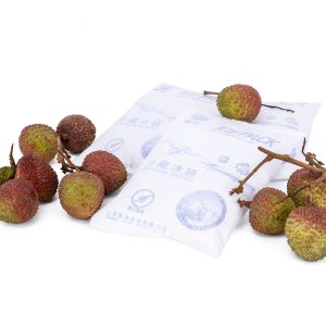 250g Cold Gel Water Ice Bag for Reusable Cooling and Preservation FresGel Cold