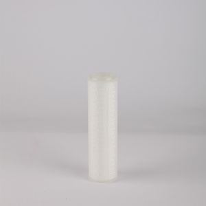 10 Inch Membrane Industrial Micro Filter Cartridges for Wine and Beer Final