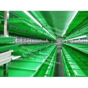 Compact Container Type Hydroponic Barley Fodder Growing Room for Optimal Sprout