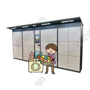 Smart Pin Code Custom APP Laundry Dry Clean Locker Touch Screen With Remote
