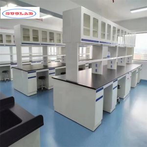 Cheap Customizable Laboratory Workbench with Multiple Compartments and Racks As Drawing for sale