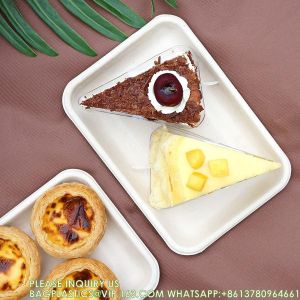 8 Inch Heavy Duty Paper Plates, Bend-Resist Compostable Medium Size Disposable