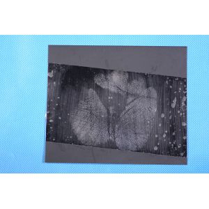 C153 80mm Palm print lifting tape