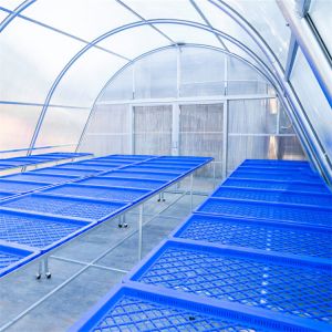 Efficient Greenhouse for Drying Herbs and Fruits with Ventilated PC Board Design