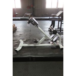 Adjustable Back Extension Roman Chair Home Gym Strength Training Machine for