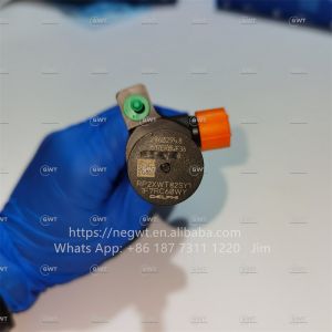 Common DELPHI Diesel Fuel Injectors 9674984080 DS7Q-9F593-BB 28319895 28388960