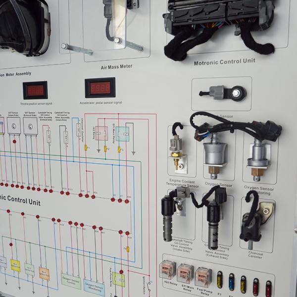 Gasoline Engine Automotive Training Board ECU Automotive Trainers For Corolla 1ZR