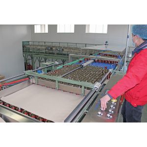 Pulp Beverage 330ml Energy Drink Filling Machine